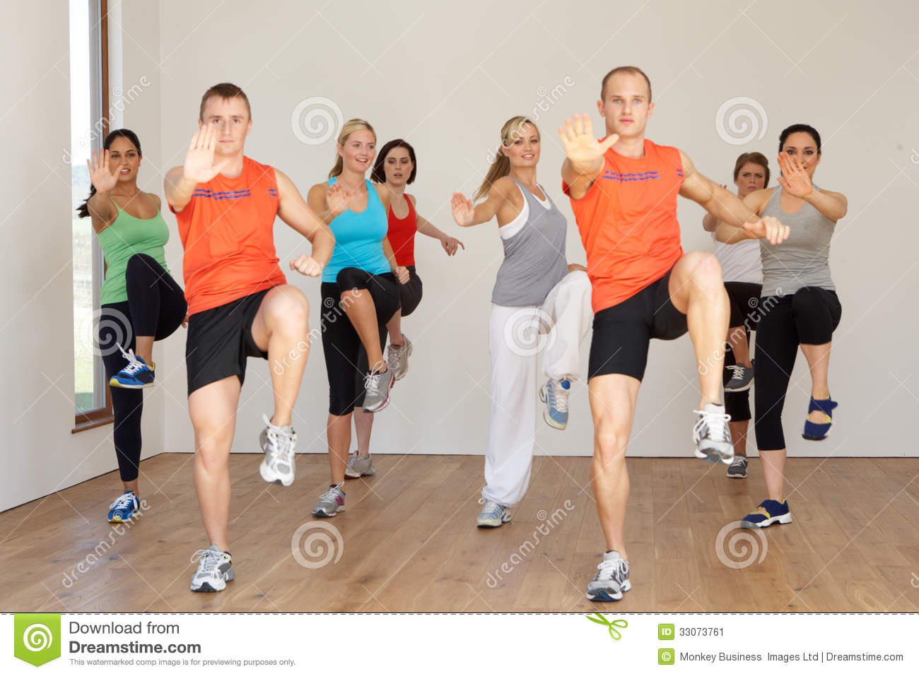 Group Of People Exercising In Dance Studio Stock Image   Image    