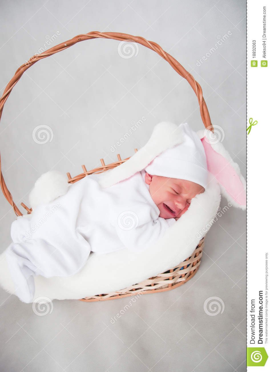 Little Baby Rabbit Stock Photos   Image  18832063