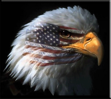 Mat Want To Marry  Patriotic Eagle Clipart