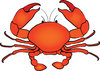 Crab Photos Stock Photos Images Pictures Crab Clipart   Crab Stock    