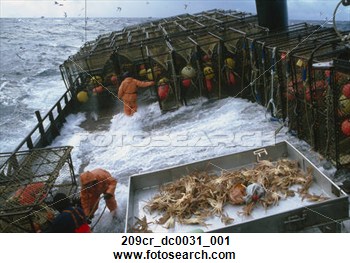 Fisherman Work On Deck Bad Weather Bering Sea Ak  Nopilio Crab Season    