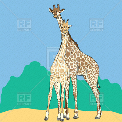 Funny Couple In Love Giraffes Download Royalty Free Vector Clipart