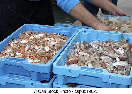 Picture Of Crab Fish Mediterranean Seafood Fisherman Boat   Crab Fish    