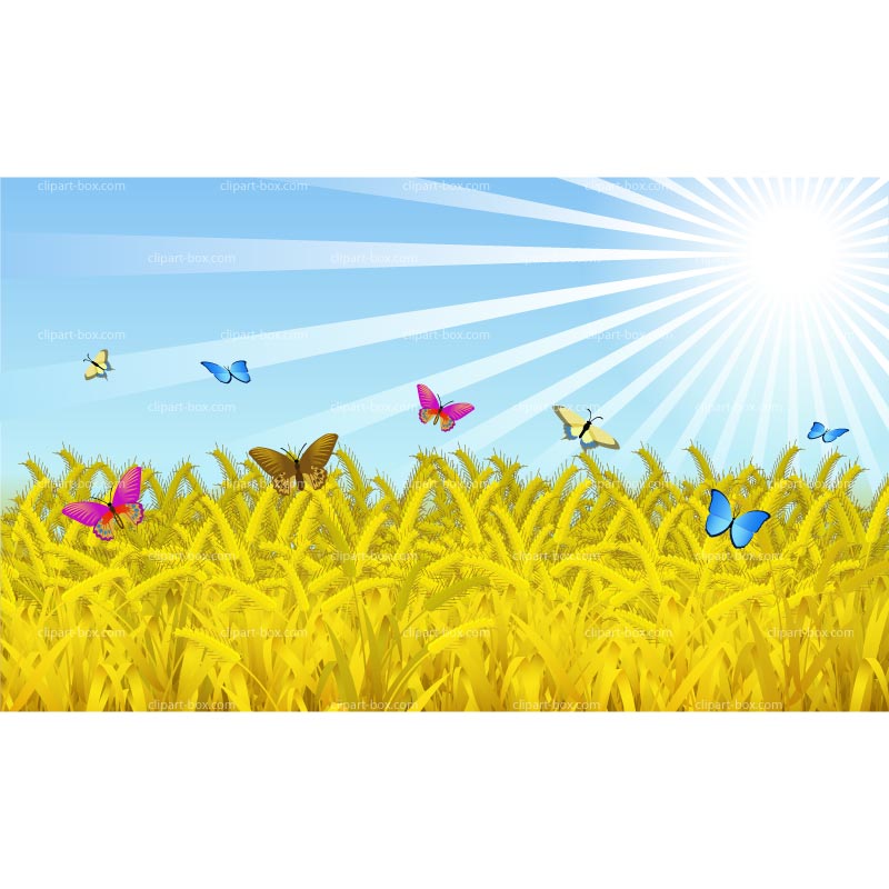 Clipart Wheat Field With Butterflies   Royalty Free Vector Design
