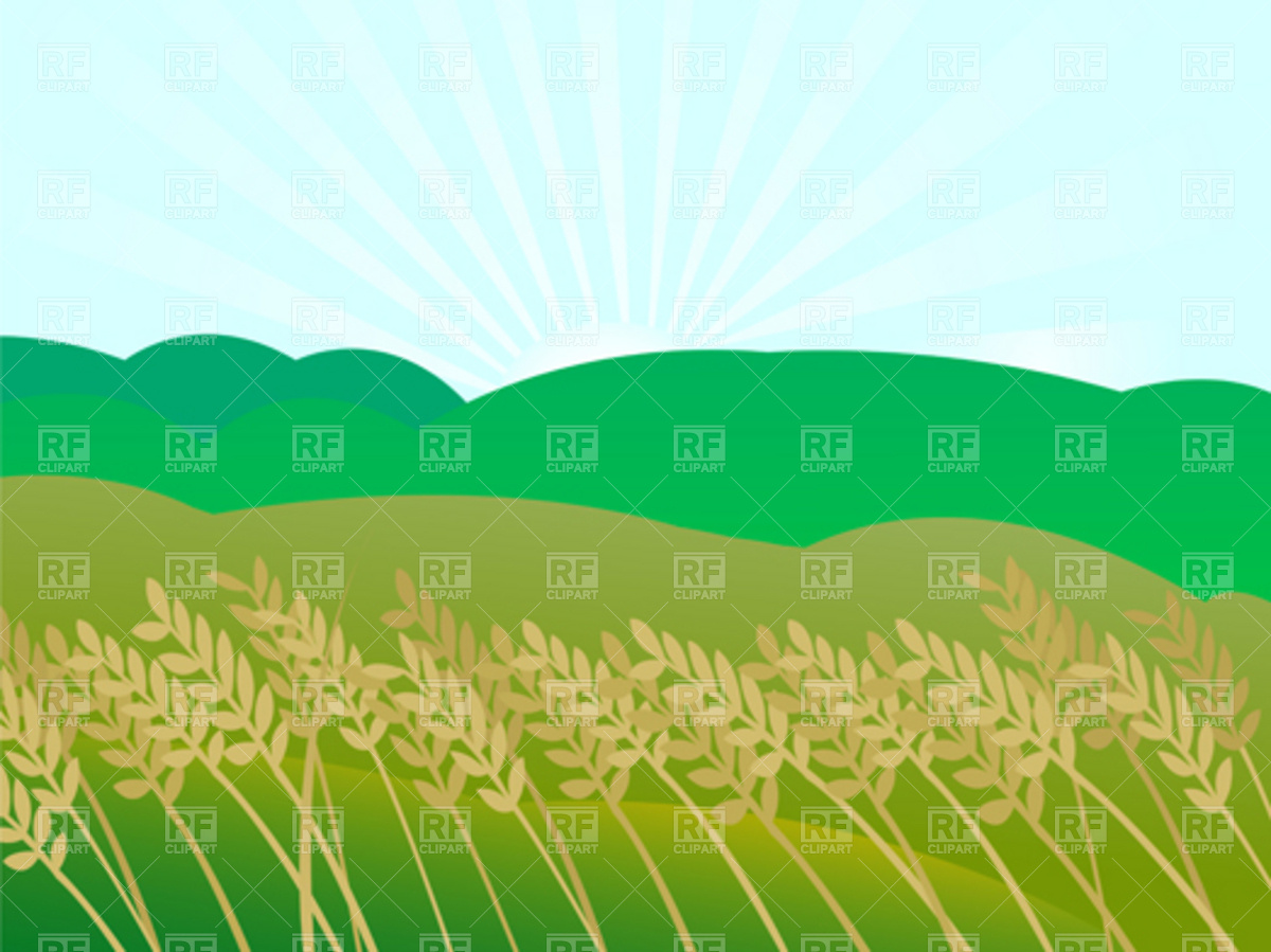 Corn Field Clip Art Vector Clipart  Eps
