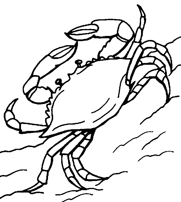 Crab Clipart Black And White   Clipart Panda   Free Clipart Images