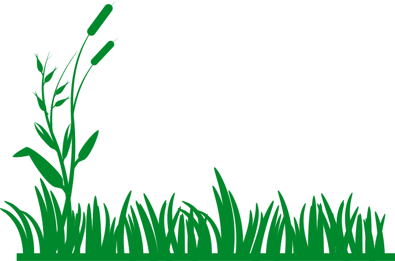Grass Field Clipart   Clipart Panda   Free Clipart Images