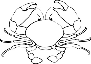 Seafood Clipart Image   Black And White Outline Of A Crab   Seafood