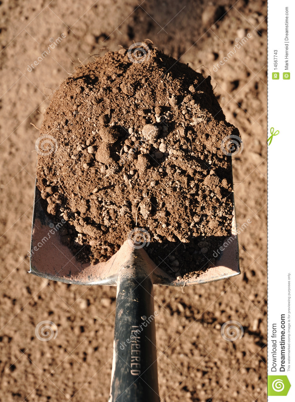 Shovel Dirt Clipart Shovel Full Of Dirt