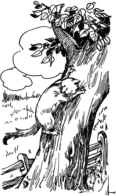 Cat Climbing A Tree   Clipart Etc