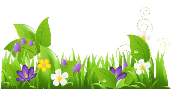 Grass And Flowers Png Clipart   Bordas   Pinterest