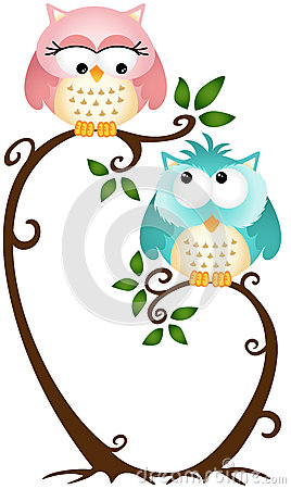 Image Representing A Cute Couple Owls On The Tree Isolated White