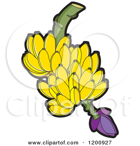 Royalty Free  Rf  Clipart Of Bunch Of Bananas Illustrations Vector