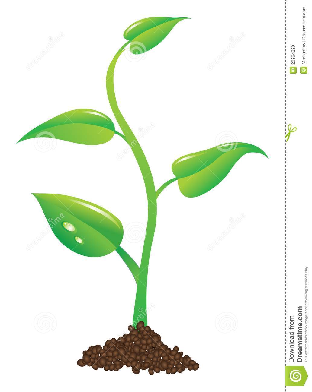 Potted Plant Clipart Young Plant Illustration 20964290 Jpg