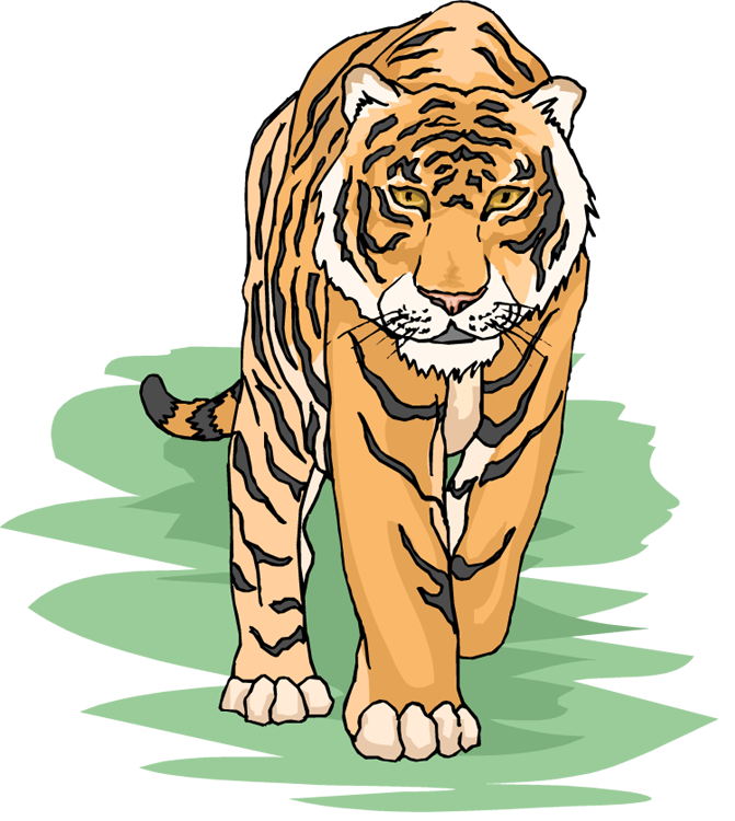 Tiger Clipart