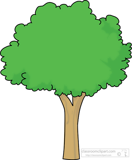Trees   Green Tree 229   Classroom Clipart
