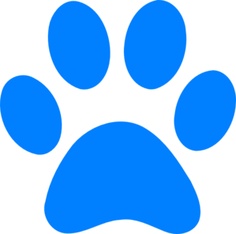Blue S Clues Paw Print   Latest Fashion Styles And Deals 2015