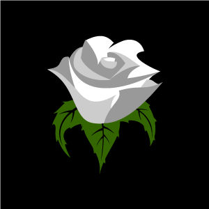 Clipart Contact Us Flower Clipart White Rose With Black Background