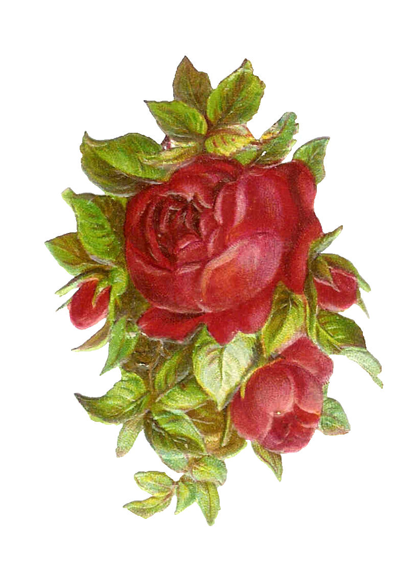     Digital Frame Graphic  Vintage Printable Frame With Red Rose Clip Art