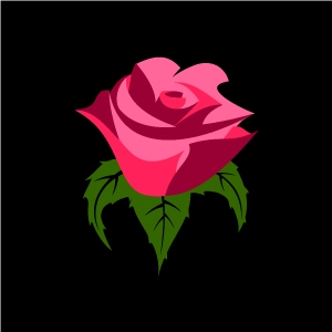Graphic Design Of Flower Clipart   Pink Rose With Black Background