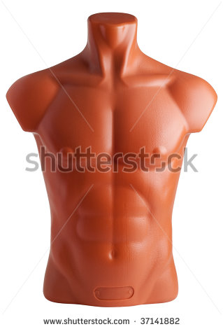 Male Torso  Plastic Mannequin Isolated On White Background    Stock