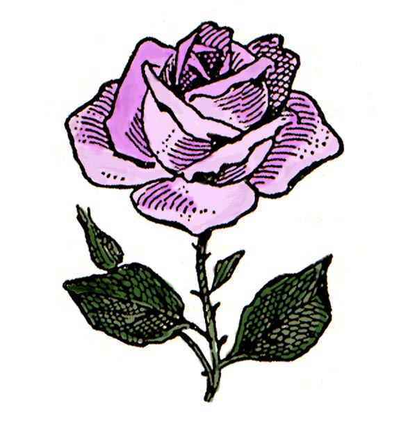 Purple Rose Clip Art Images   Pictures Becuo