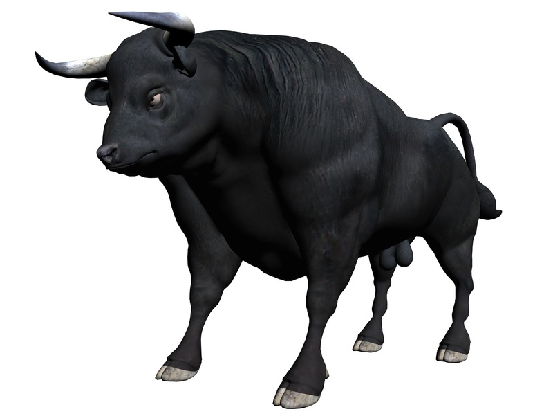 There Is 38 Angus Bull Head   Free Cliparts All Used For Free