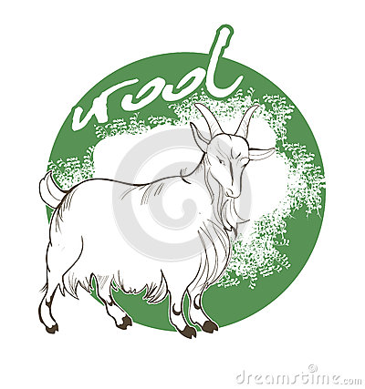 Vector Elements For Packaging Productsfrom Mountain Goat Wool
