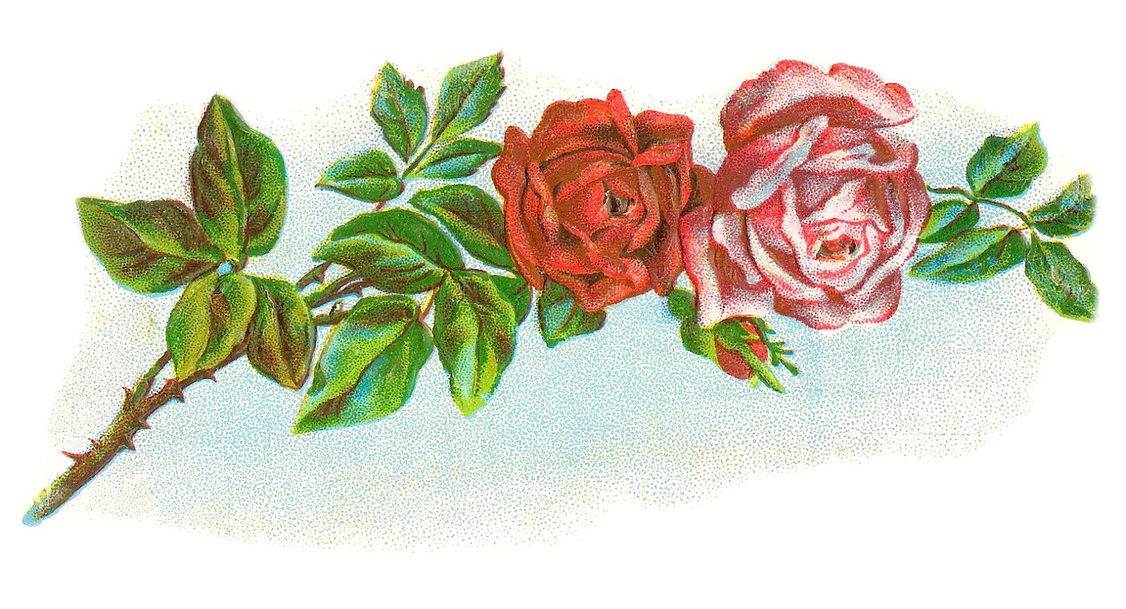 Vintage Flower Clip Art  Vintage Rose Graphic Of Red And Pink Rose On
