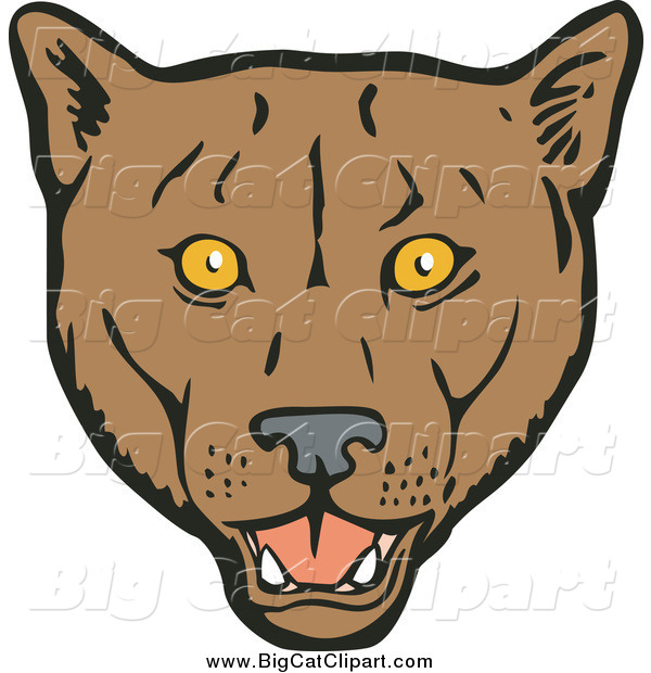 Big Cat Vector Clipart Of A Cougar Face By Patrimonio    2158