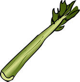 Celery Clipart K0724806 Jpg