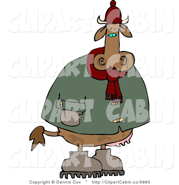 Clip Art Cartoon Of A Freezing Cold Cow Wearing Winter Clothing And    