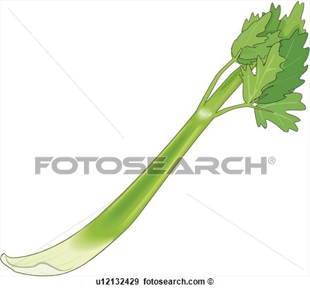 Clip Art   Celery   Fotosearch   Search Clipart Illustration Posters