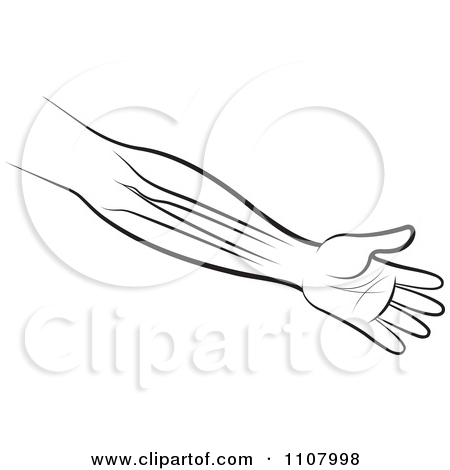 Clipart An Outlined Human Arm And Hand Showing The Bones   Royalty