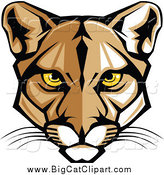 Cougar Mascot Face Golden Tiger Eyes Roaring Tiger Mascot Face