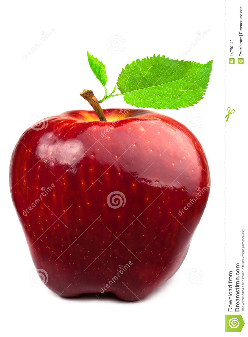 Dark Red Apple With Leaves Stock Photos   Image  14750143