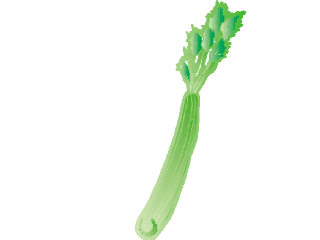 Download Vegetable Clip Art   Free Clipart Of Vegetables  Mushroom    