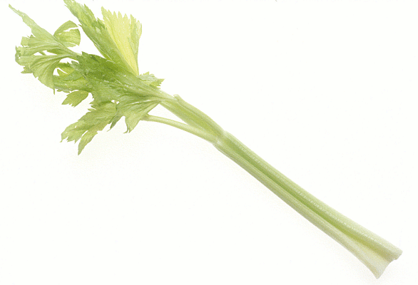 Free Celery Clipart  Free Clipart Images Graphics Animated Gifs    