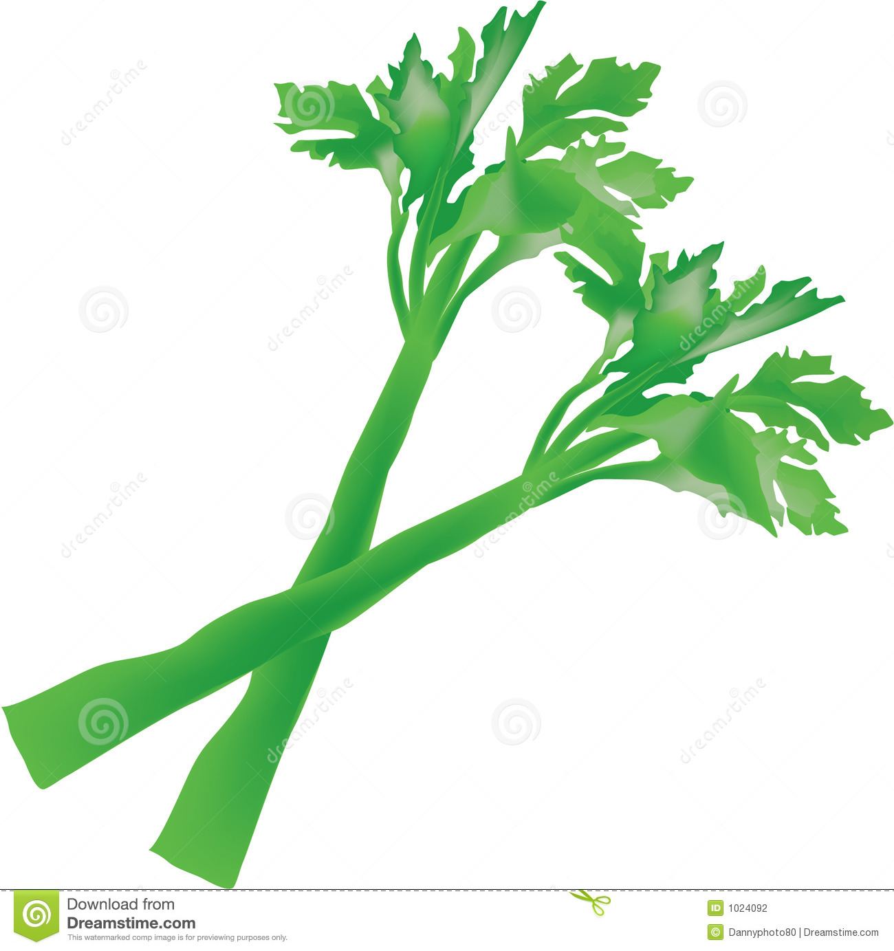 Illustration Of A Couple Of Sticks Of Celery