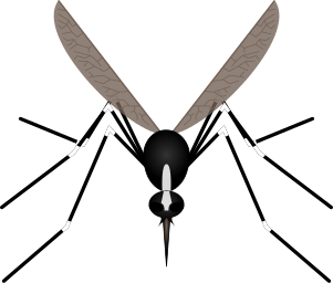 Mosquito Bite Clipart