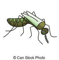 Mosquito Bite Vector Clipart And Illustrations