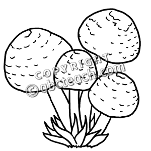 Art Illustration Black And White Science Ecology Ecosystem Mushroom