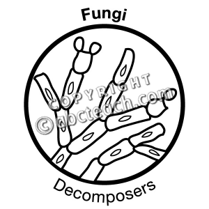 Biology Clipart Black And White     Science Illustration Illus