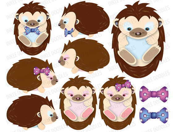 Items Similar To Baby Shower Hedgehog Image Clipart Cute Animal