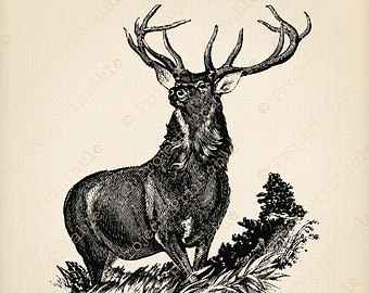 Vintage Country Deer Clipart Stag   Antlers   Instant Download Fabric