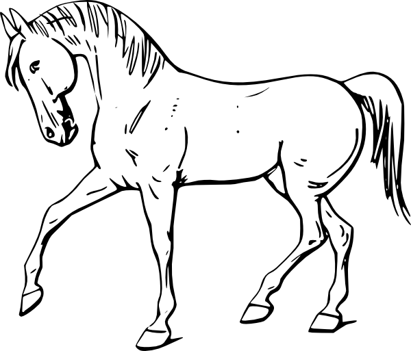 Walking Horse Outline Clip Art At Clker Com   Vector Clip Art Online