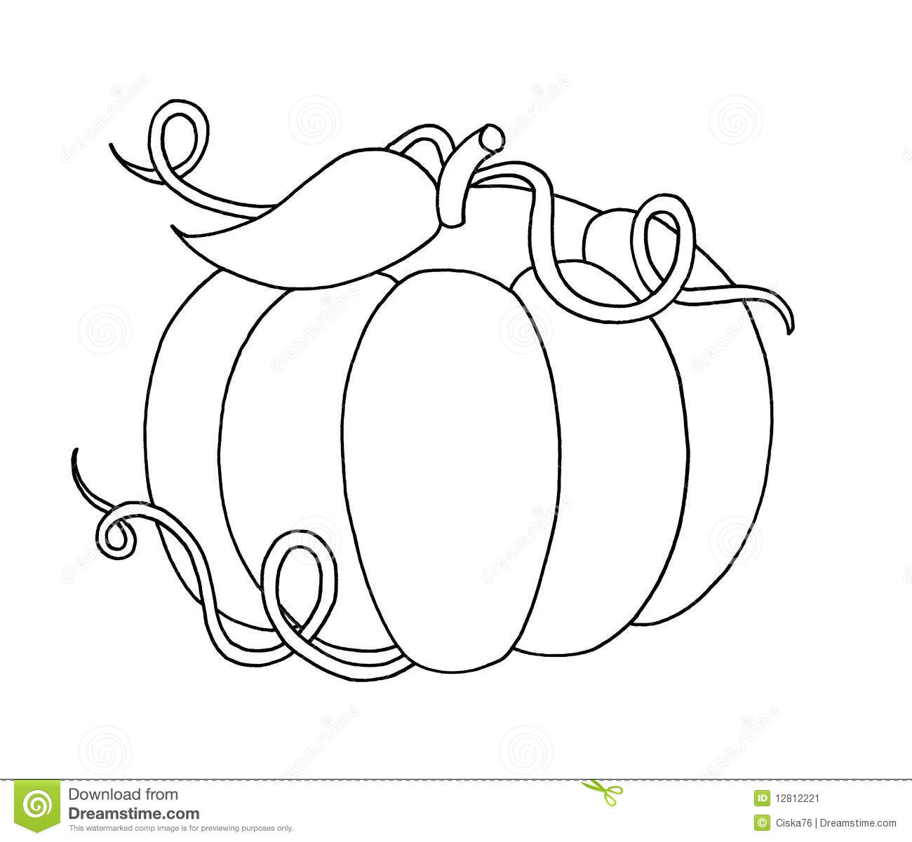 Black And White   Pumpkin Stock Image   Image  12812221