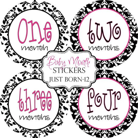 Black White Pink Damask Girl Baby Month Sticker Monthly Baby Stickers