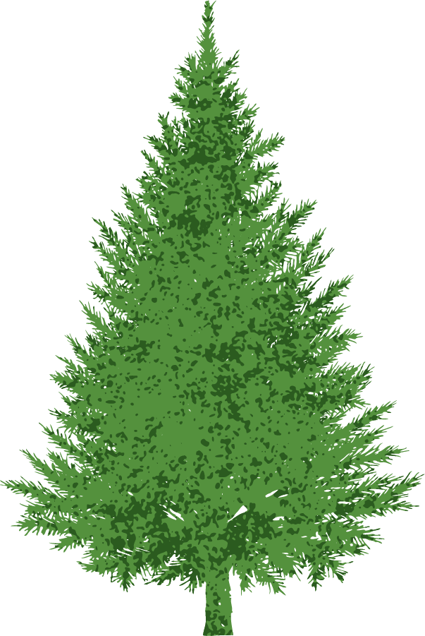 Buncee   Evergreen
