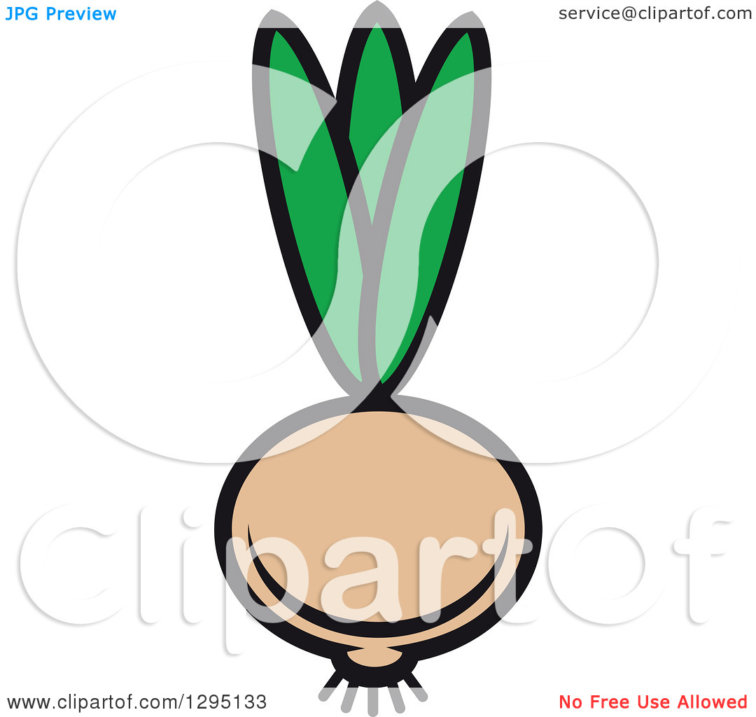 Clipart Of A Cartoon Yellow Onion   Royalty Free Vector Illustration